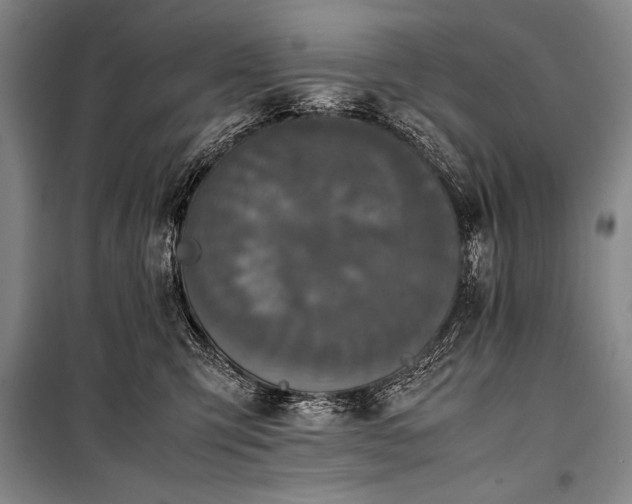 X0000101220423200806271452