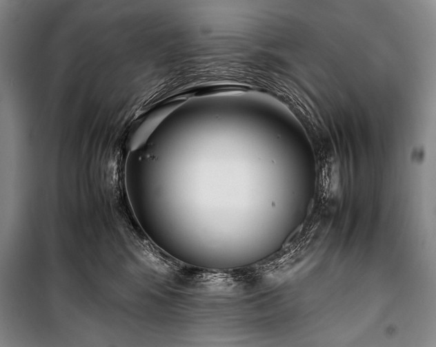X0000101220424200806271452