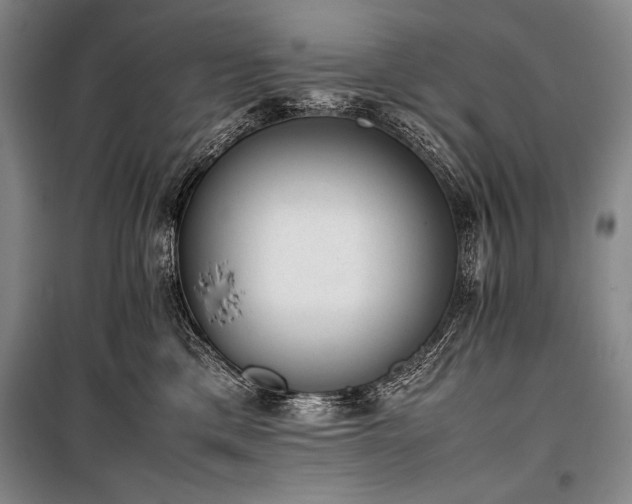 X0000101220425200806271452