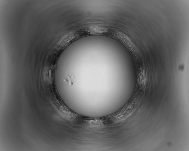 X0000101220426200806271452