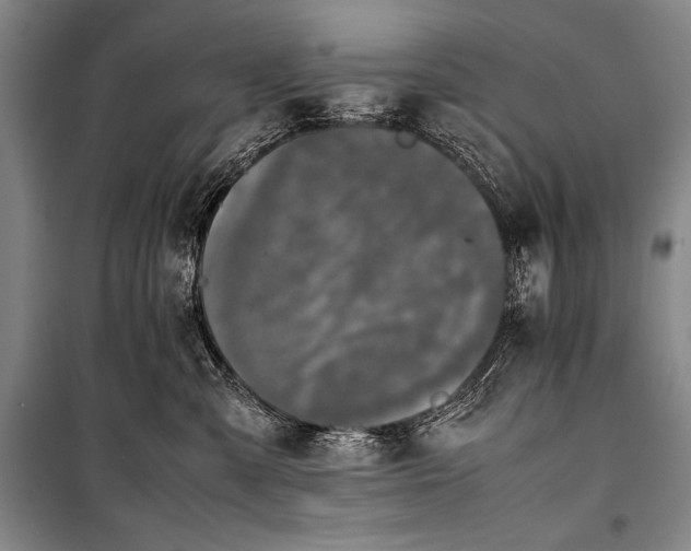 X0000101220427200806271452