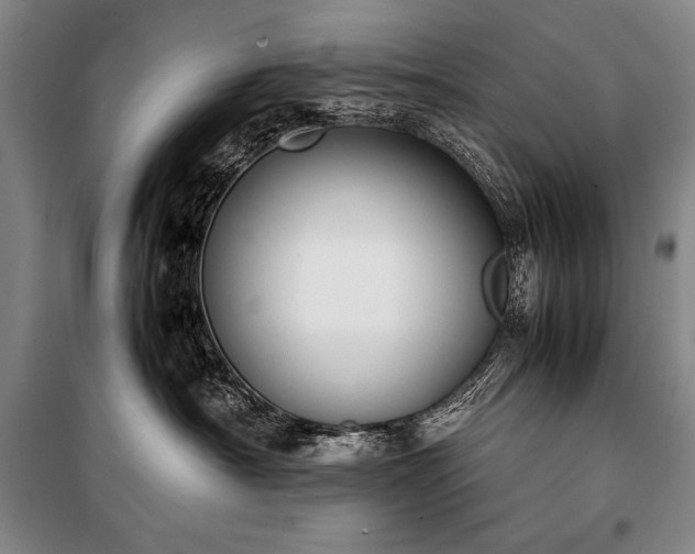 X0000101220430200806271452