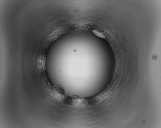 X0000101220432200806271452