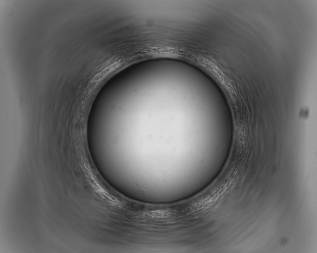X0000101220433200806271451