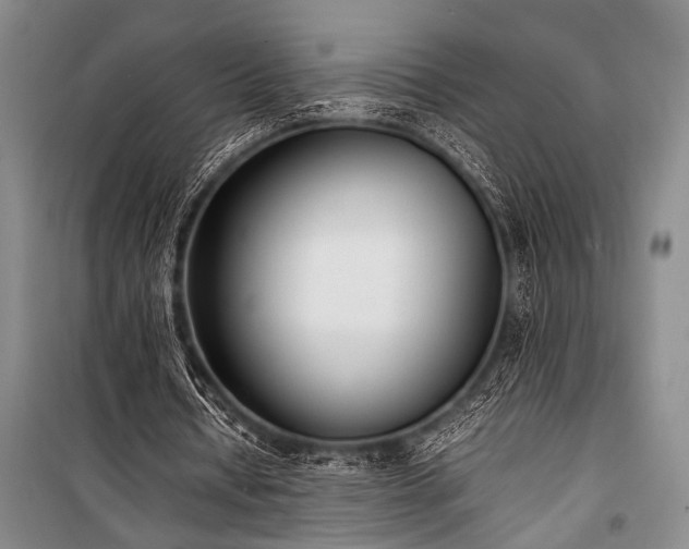 X0000101220434200806271451
