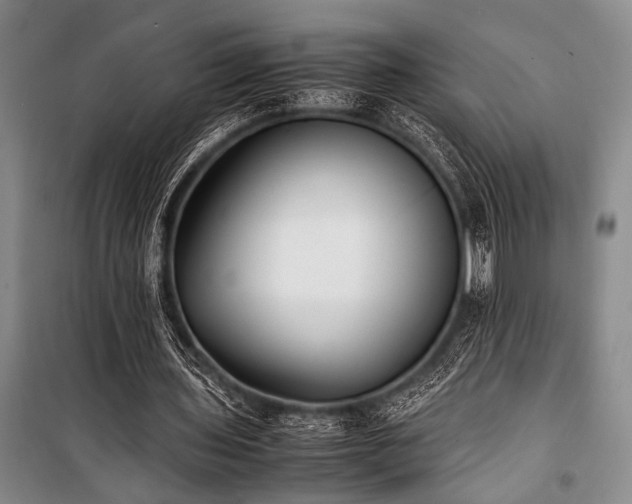 X0000101220435200806271451