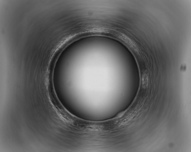 X0000101220436200806271451