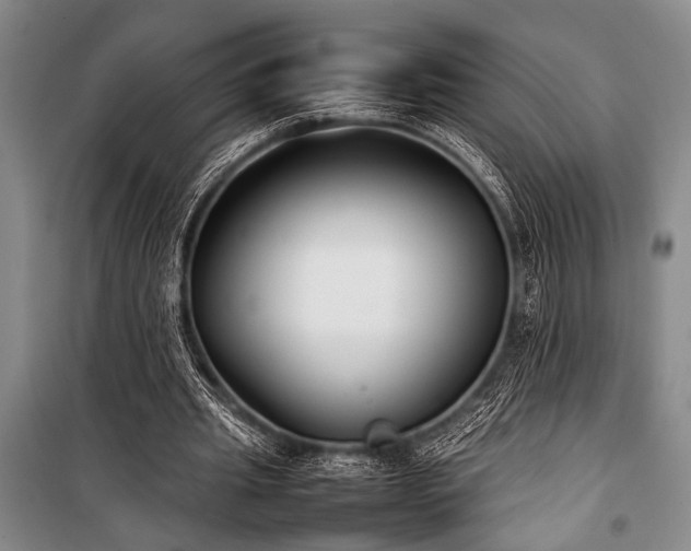 X0000101220437200806271451