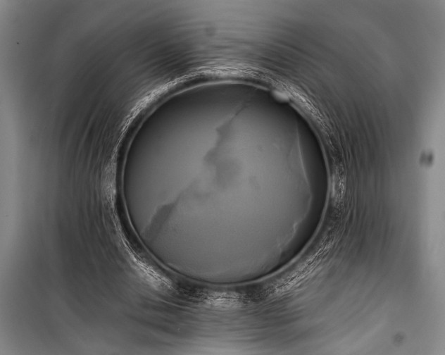 X0000101220438200806271451