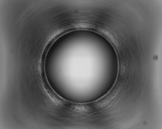 X0000101220439200806271451