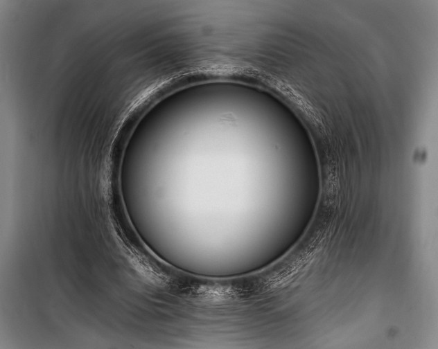 X0000101220440200806271451