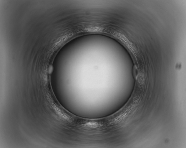 X0000101220441200806271451