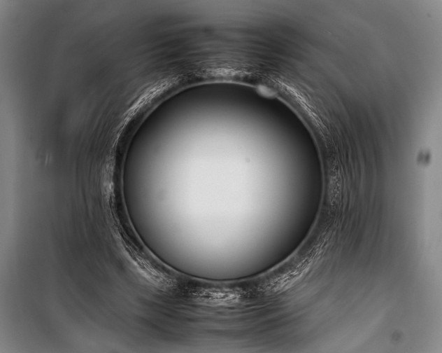 X0000101220443200806271451