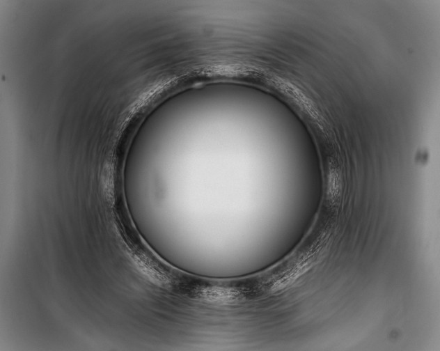 X0000101220444200806271451