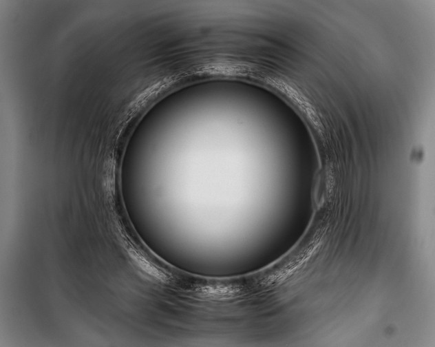 X0000101220445200806271451