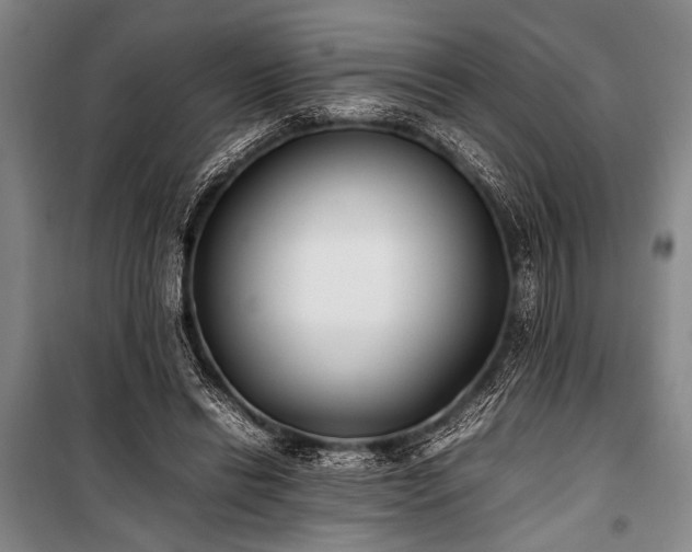 X0000101220446200806271451