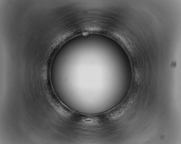 X0000101220447200806271451