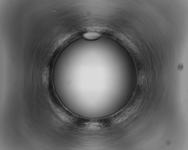 X0000101220448200806271451