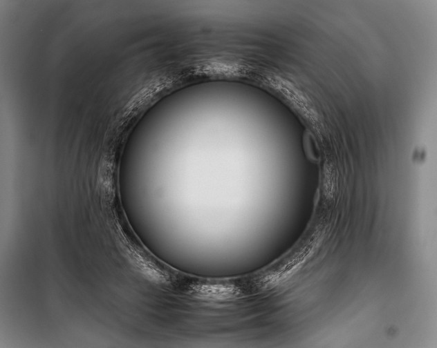 X0000101220449200806271451