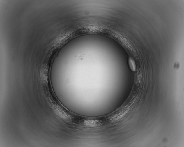 X0000101220450200806271451