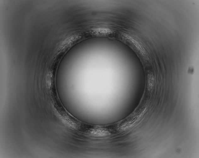 X0000101220451200806271451