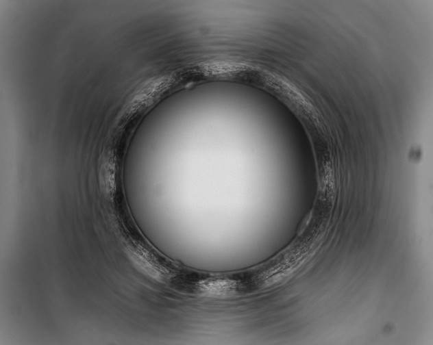 X0000101220452200806271451