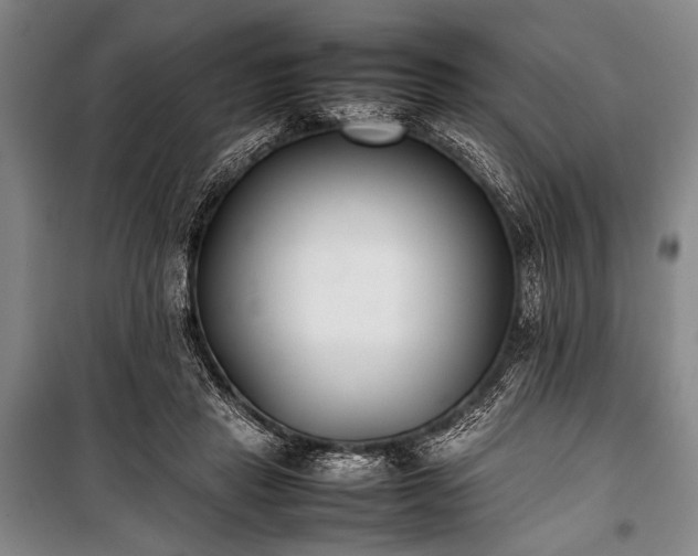 X0000101220453200806271452