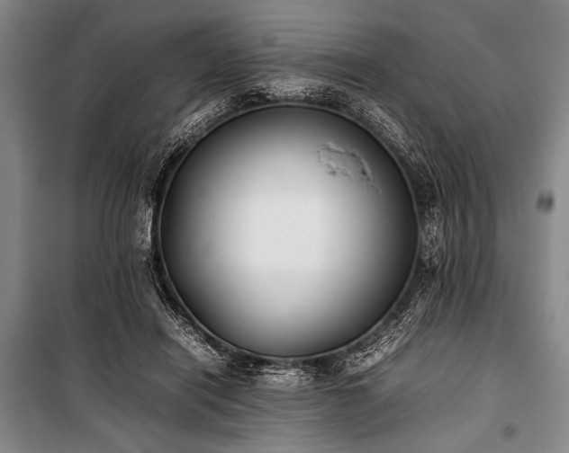 X0000101220454200806271452