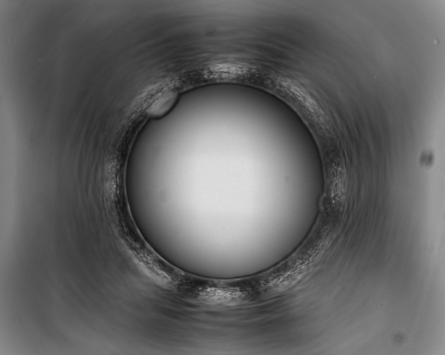 X0000101220455200806271452