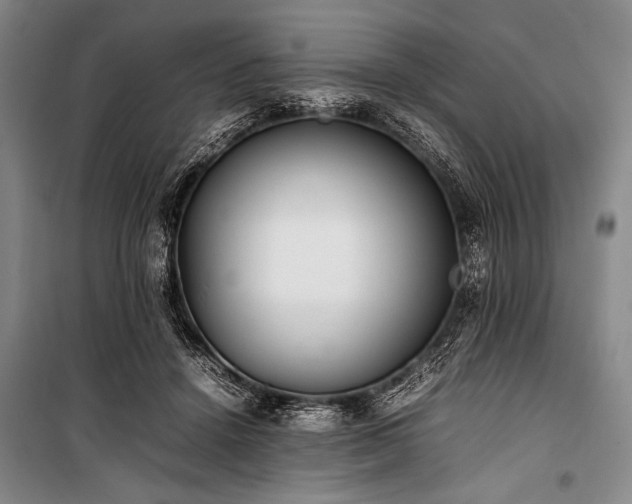 X0000101220456200806271452
