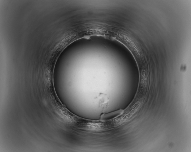 X0000101220457200806271452