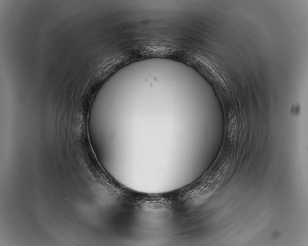 X0000101220459200806271452