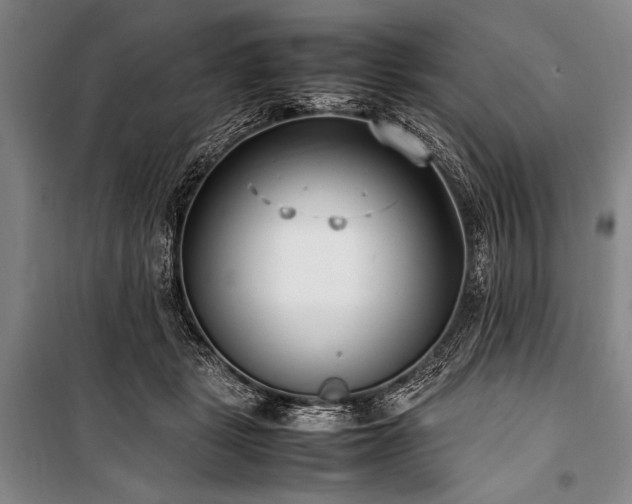 X0000101220461200806271452