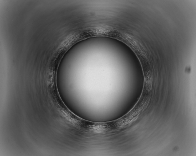 X0000101220462200806271452