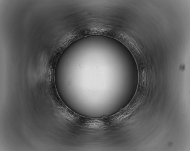X0000101220463200806271452