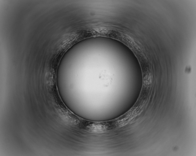 X0000101220464200806271452