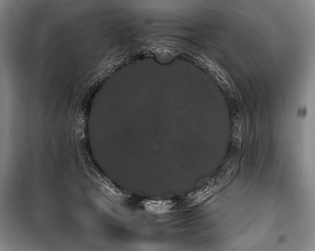 X0000101220465200806271452