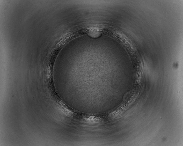 X0000101220467200806271452