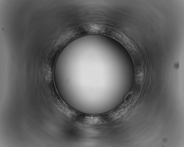 X0000101220469200806271452