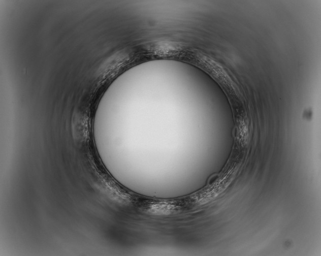 X0000101220470200806271452