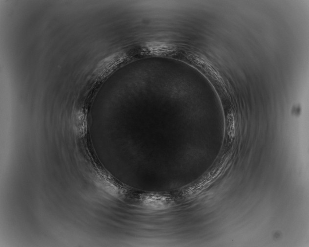 X0000101220471200806271452