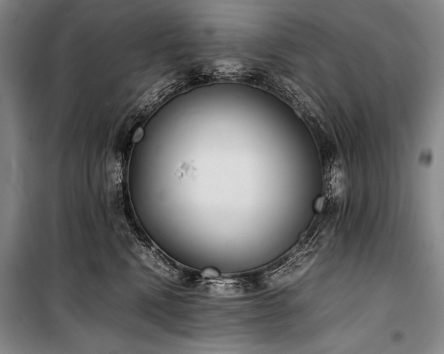 X0000101220472200806271452