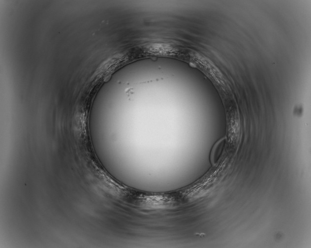 X0000101220473200806271452
