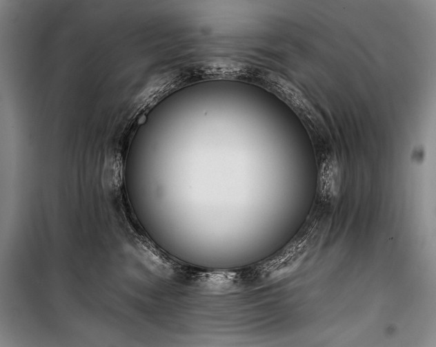X0000101220474200806271452