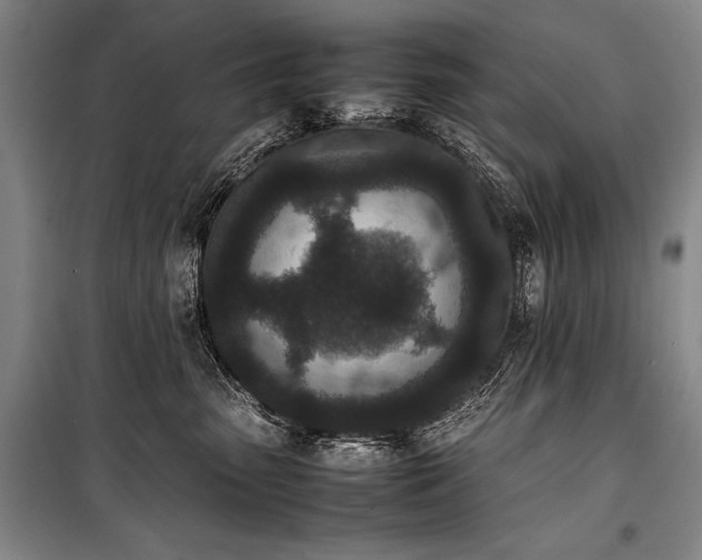 X0000101220475200806271452