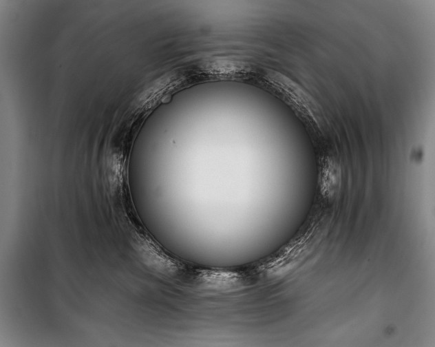X0000101220476200806271452