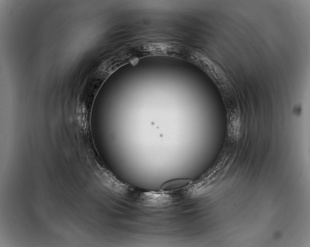 X0000101220477200806271452