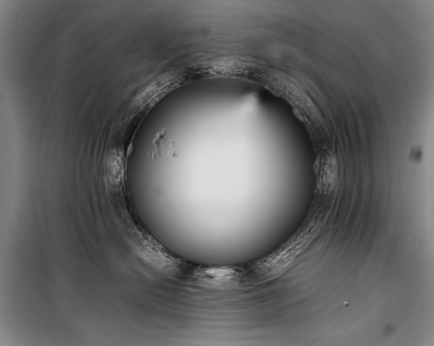 X0000101220478200806271452