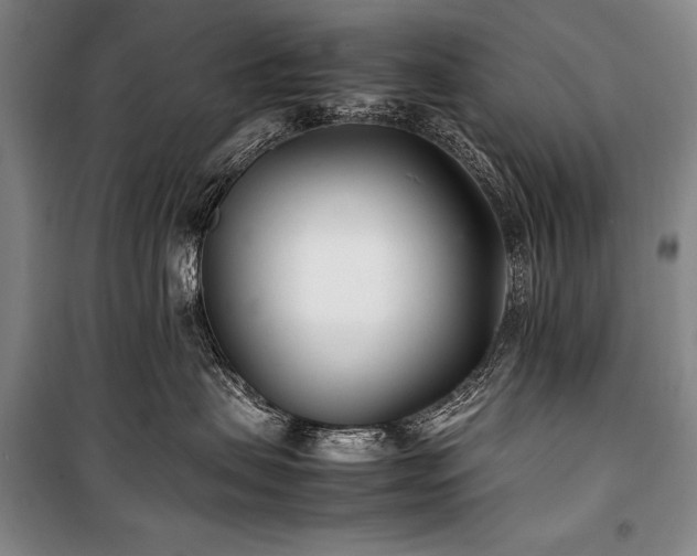 X0000101220479200806271452