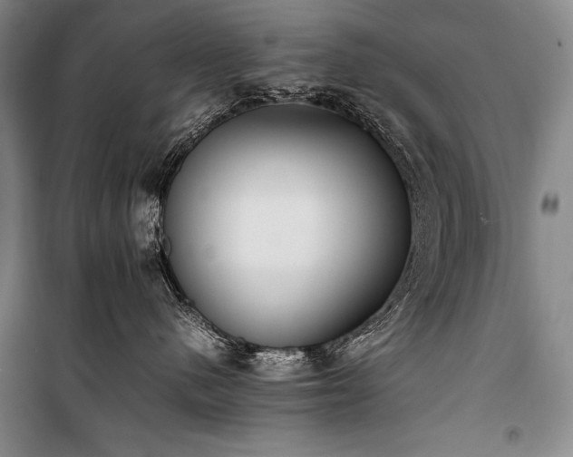 X0000101220480200806271452